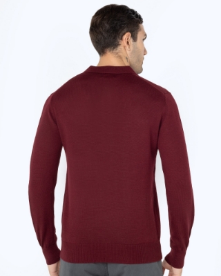 Εικόνα της ΠΛΕΚΤΟ MERINO POLO REGULAR FIT thumb