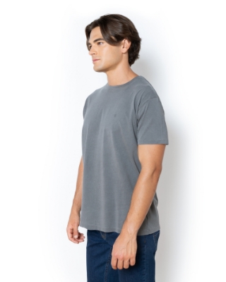 T-SHIRT DELAVE REGULAR FIT ΓΚΡΙ thumb