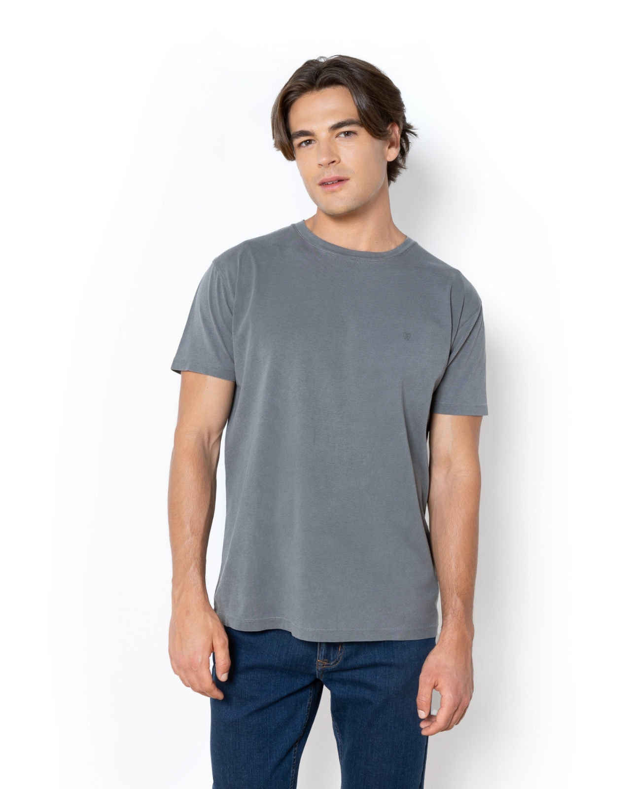 T-SHIRT DELAVE REGULAR FIT ΓΚΡΙ