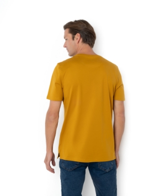 T-SHIRT REGULAR FIT ΜΟΥΣΤΑΡΔΙ thumb