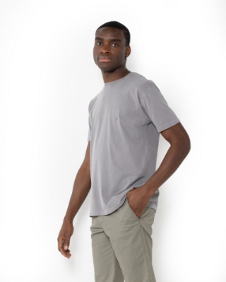 	T-SHIRT DELAVE REGULAR FIT ΓΚΡΙ thumb