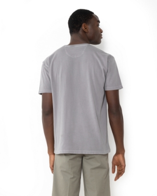 	T-SHIRT DELAVE REGULAR FIT ΓΚΡΙ thumb