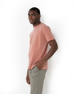 	T-SHIRT DELAVE REGULAR FIT thumb