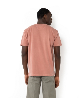 	T-SHIRT DELAVE REGULAR FIT thumb