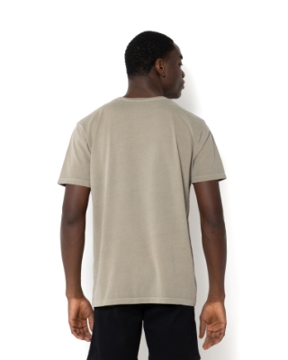 T-SHIRT DELAVE REGULAR FIT ΓΚΡΙ thumb