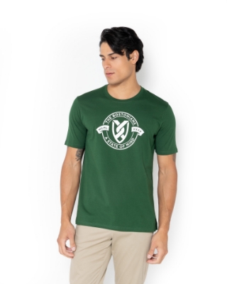 ΜΠΛΟΥΖΑ T-SHIRT REGULAR ΠΡΑΣΙΝΟ thumb